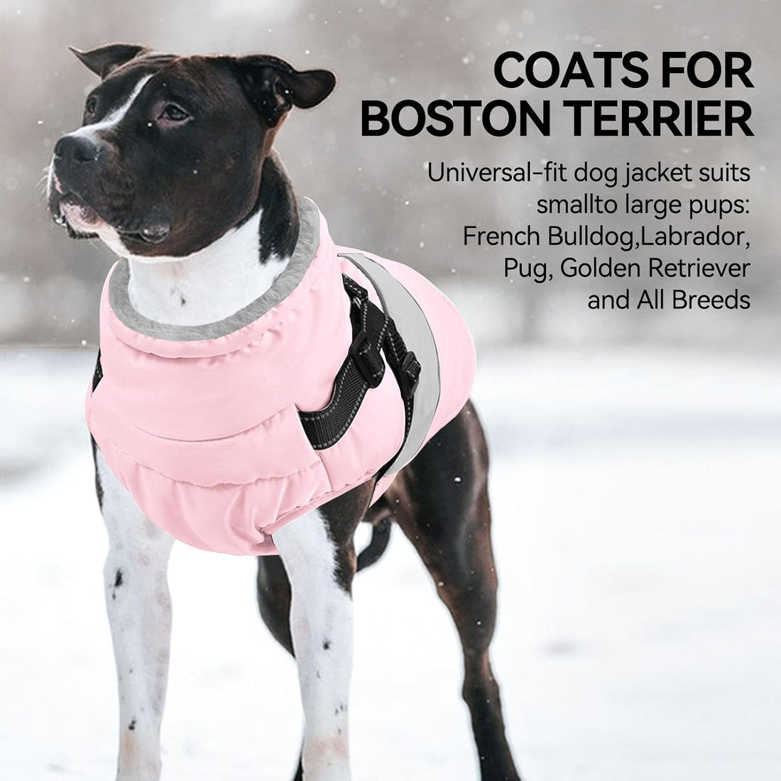 Dog Winter Coat Waterproof Dog Jacket with Harness for Medium Dogs