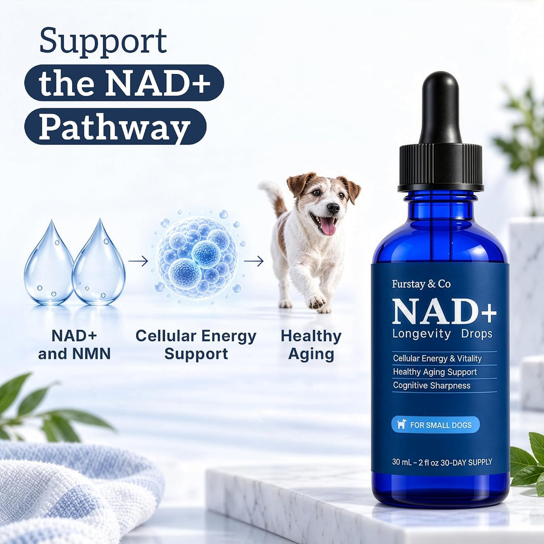 NAD+ Supplement for Senior Dogs, Medium Dogs