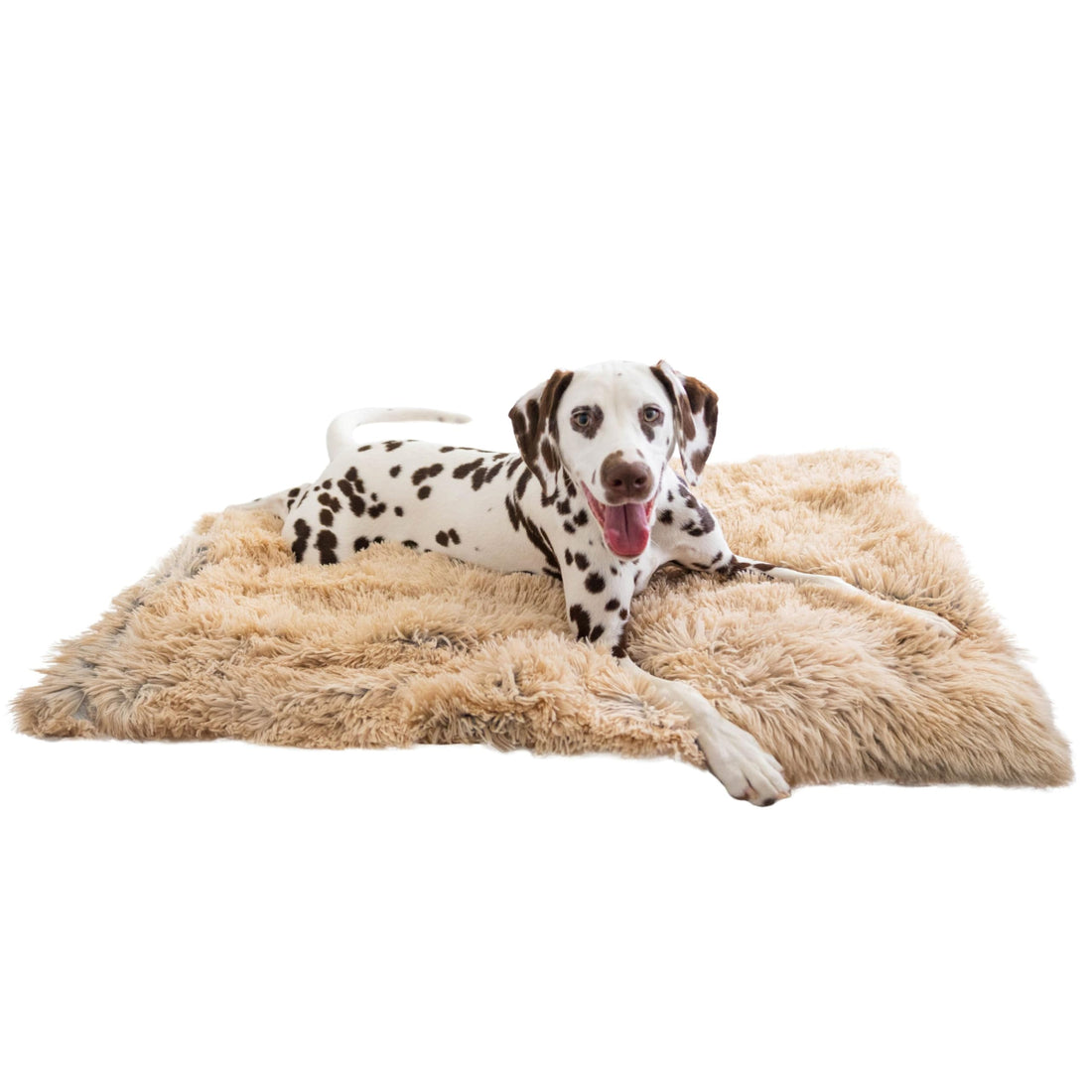 Best Friends by Sheri Calming Shag Dog Blanket