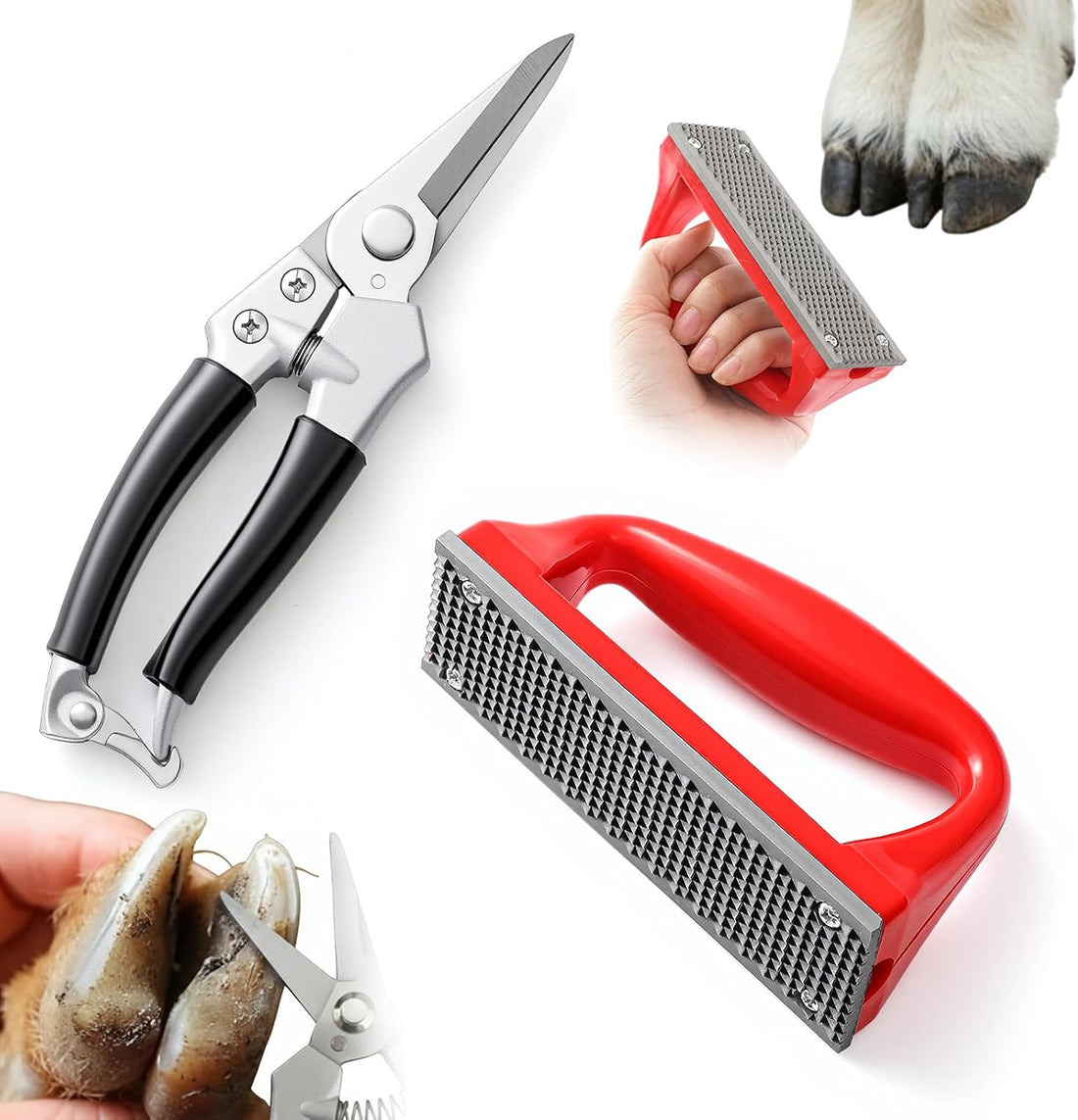 Goat Hoof Trimmers Shears Kit with Rasp, Sheep Care Tool Red Black