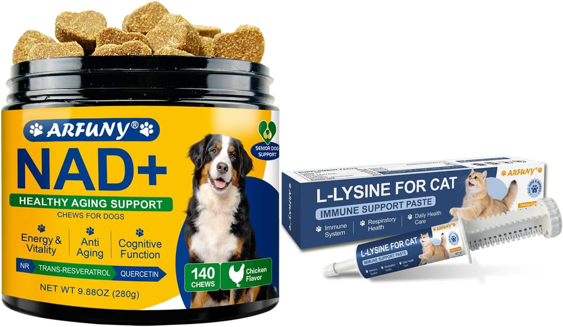 NAD+ Soft Chews for Dogs & L-Lysine for Cats