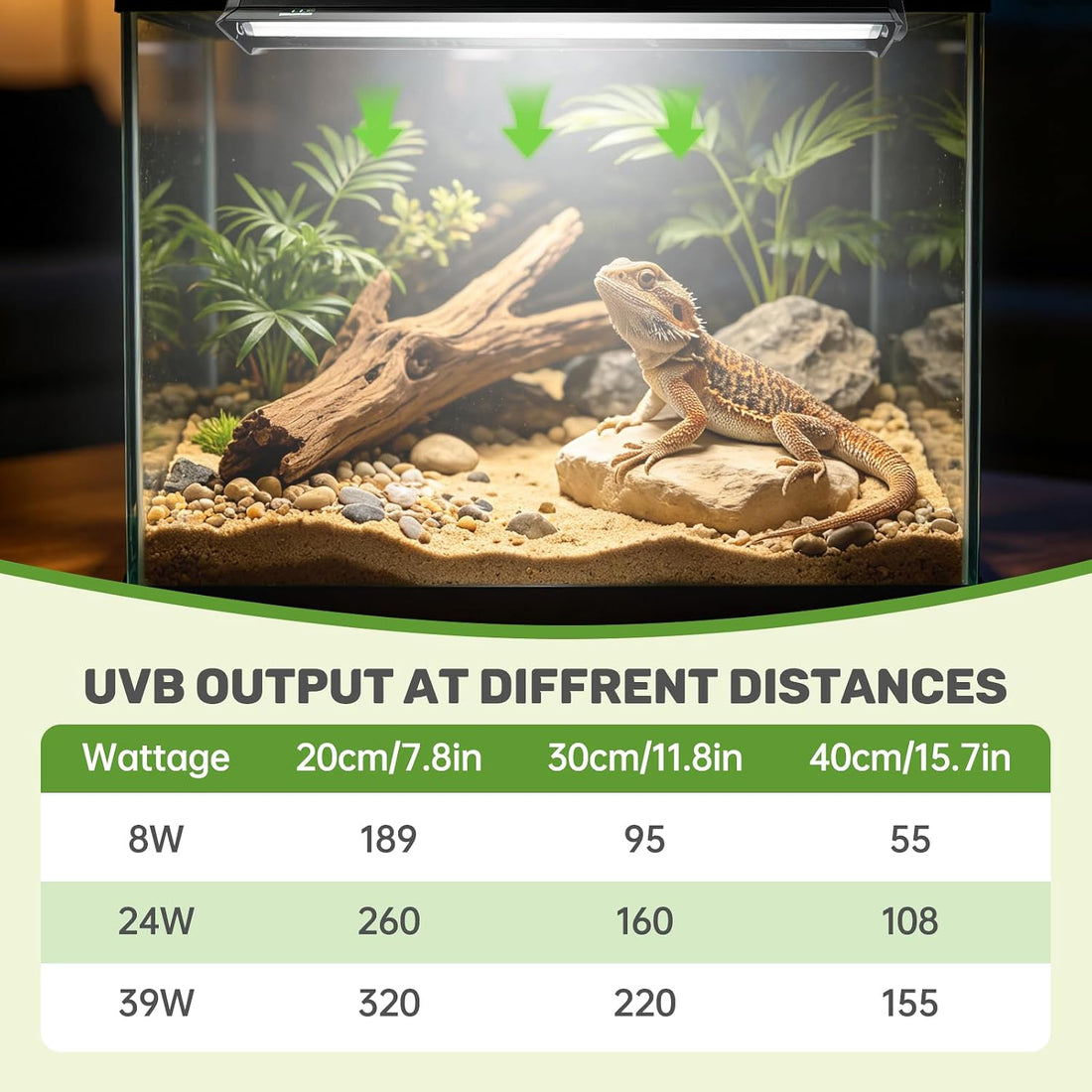T5 UVB Reptile Light Fixture, 8W 10.0 UVA UVB Light Bulb 12"