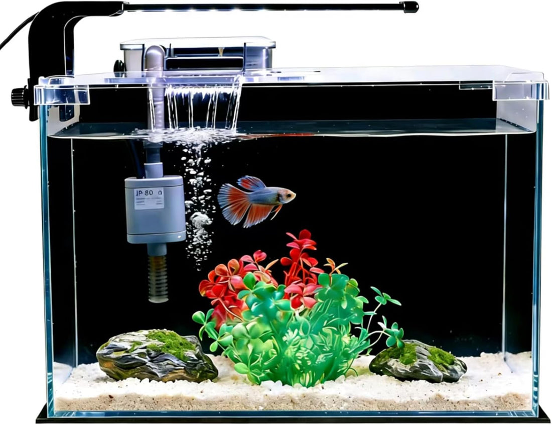 2.5 Gallon Betta Fish Tank with Filter Light and Lid