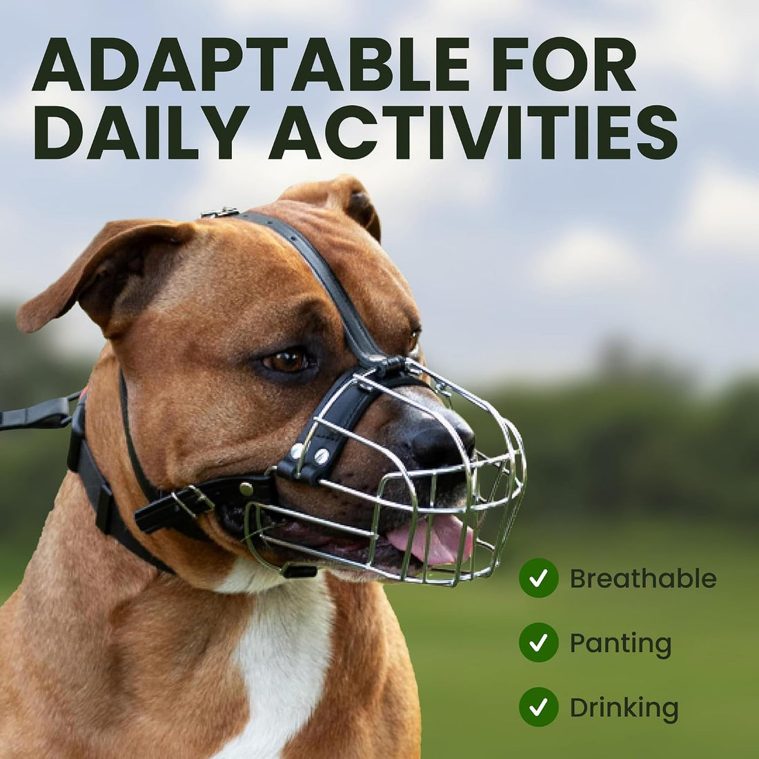 BRONZEDOG Pitbull Wire Basket Muzzle for Amstaff, Large Dogs (Steel)