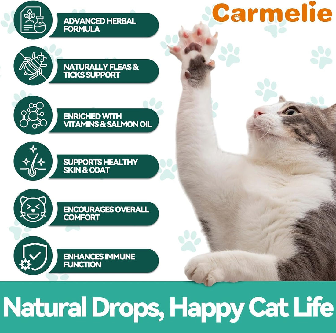 Flea and Tick Prevention for Cat