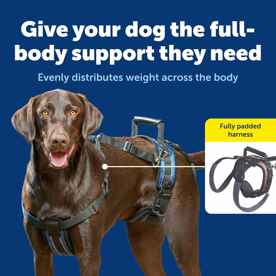 PetSafe CareLift Dog Lift Harness, Full Body