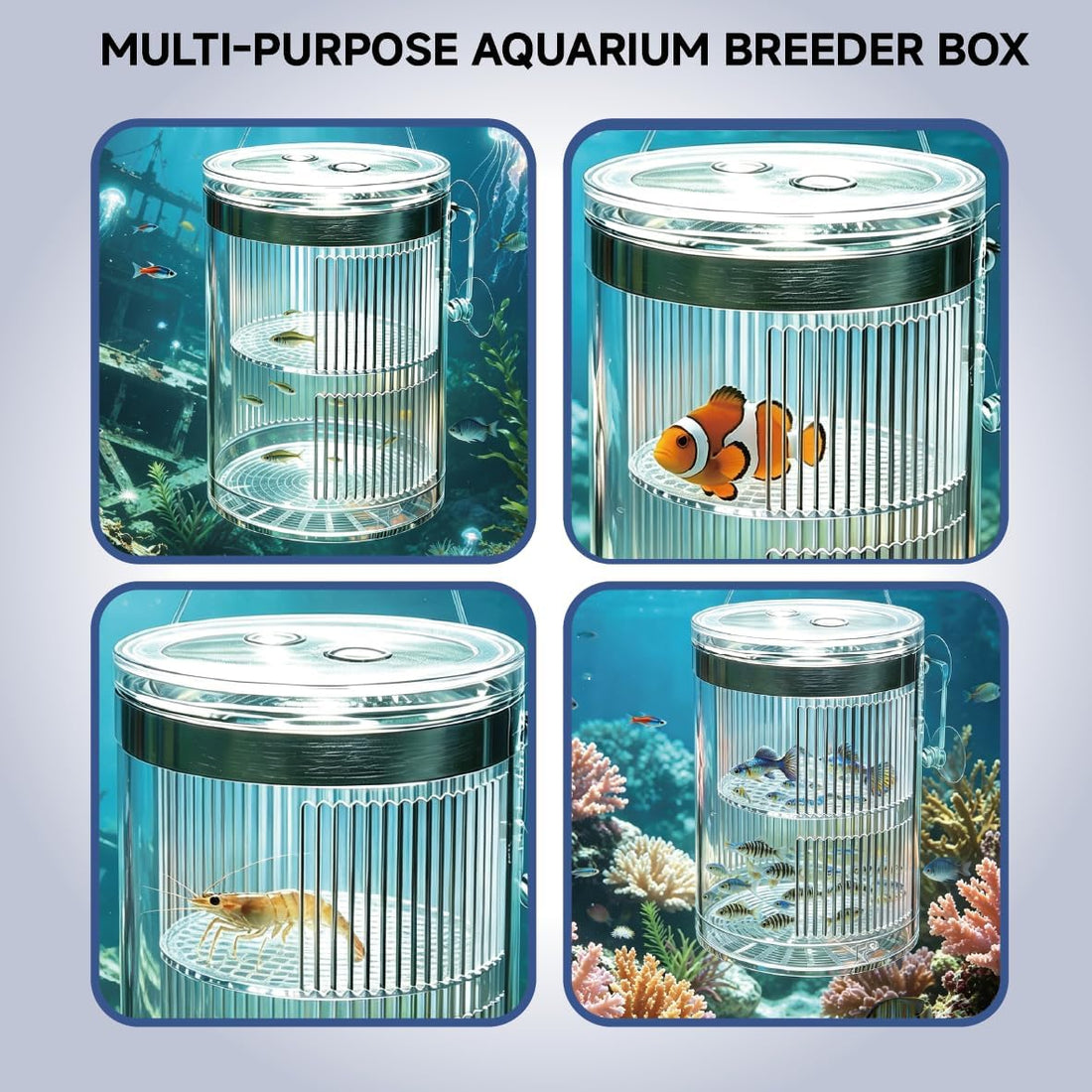 Floating Breeder Box for Fish Tank