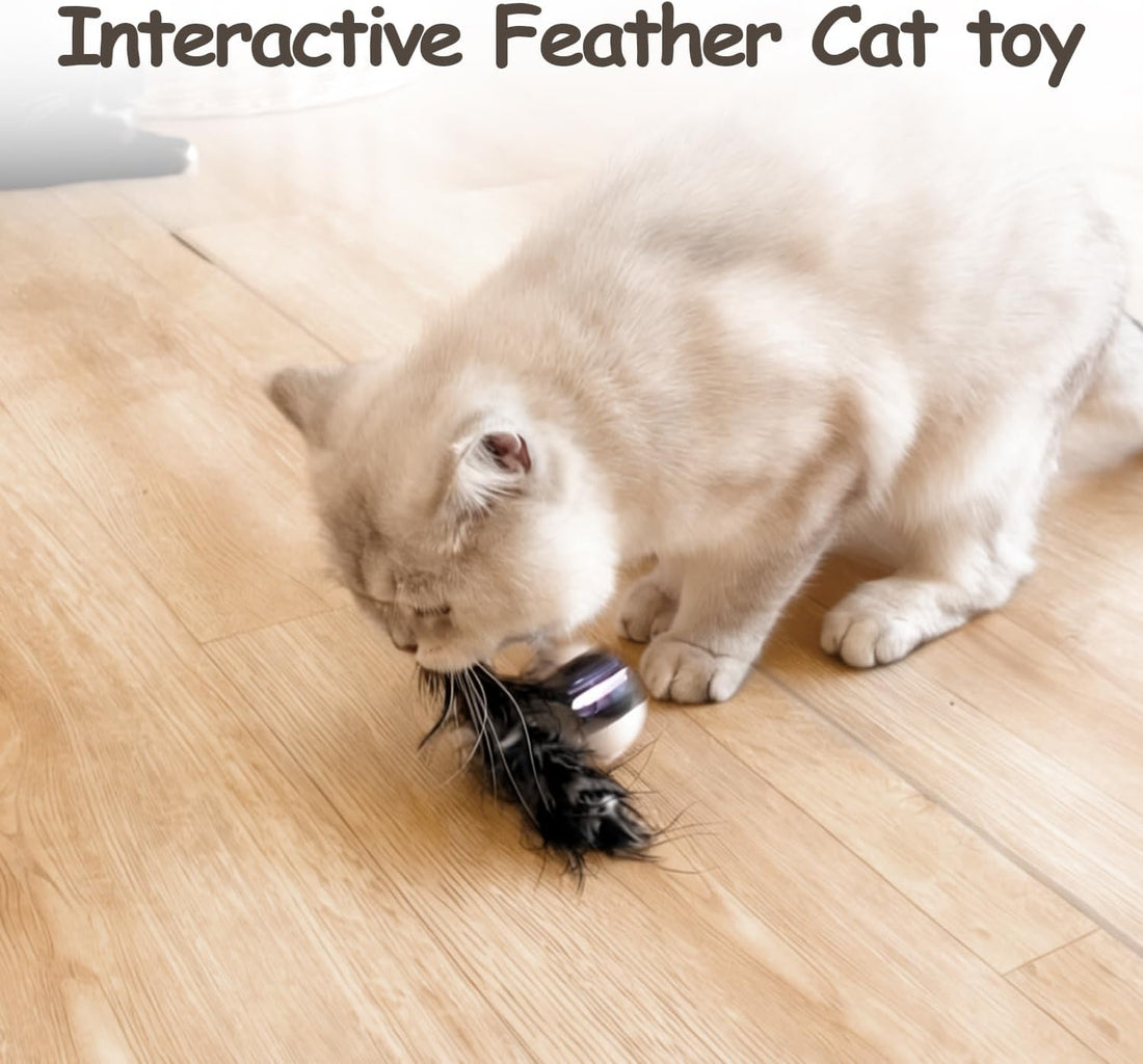 Migipaws Interactive Cat Ball Toy Set, Fun Tracker