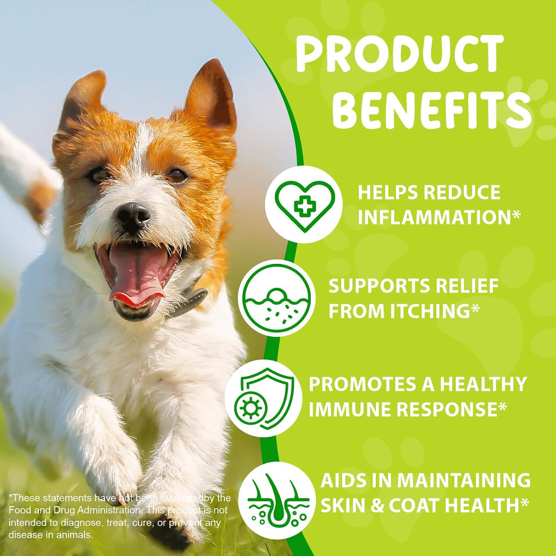 Yeast Infection Treatment for Dogs