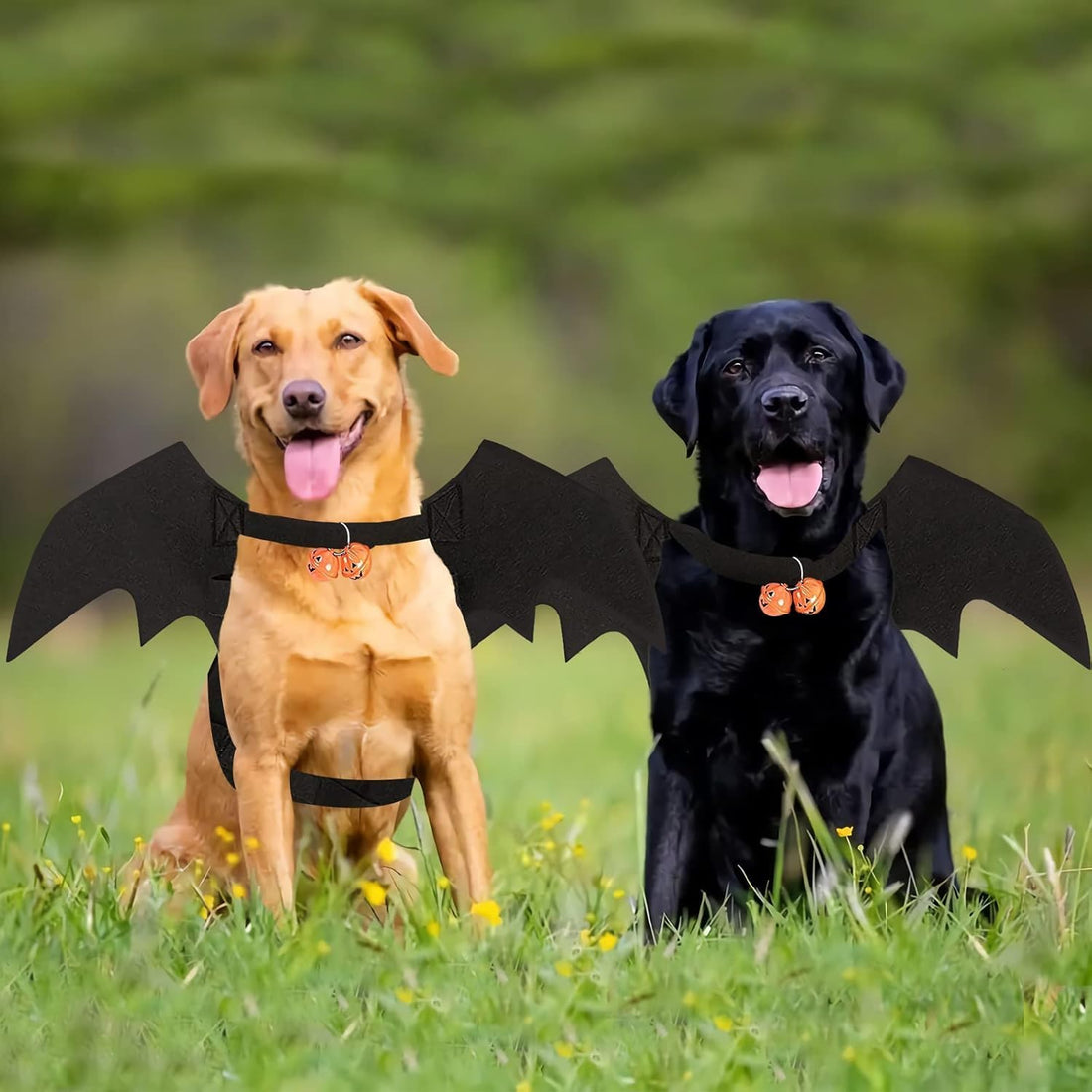 Halloween Dog Bat Wings Pet Costume with Pumpkin Bells for Halloween