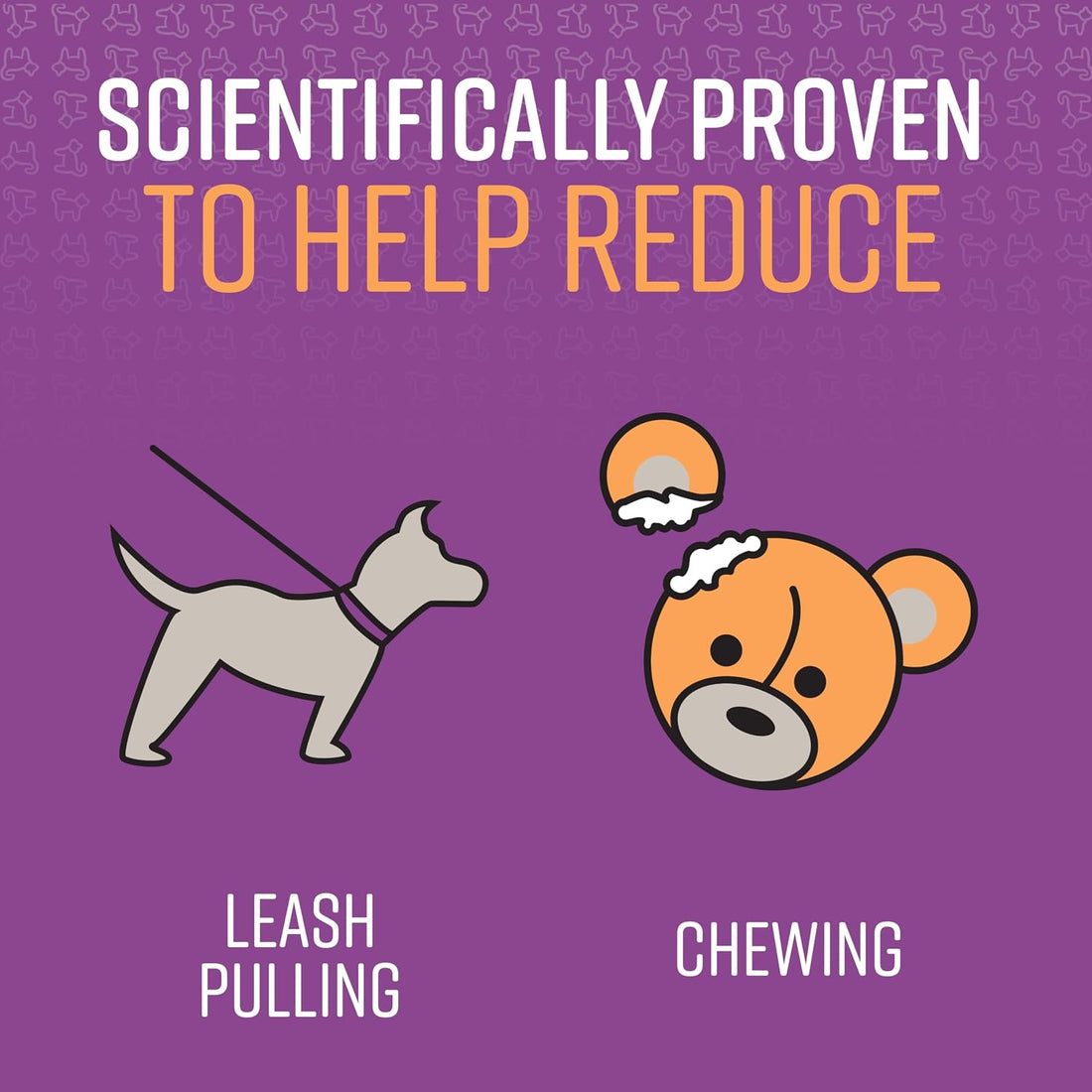 Sentry Pet Care Stop that! Behavior Correction Spray for Dogs