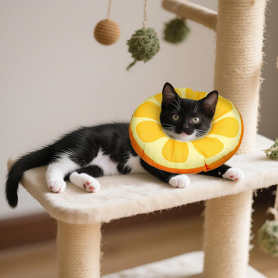 COMNICO Kitten Cones After Surgerys Small Waterproof Cones Collar