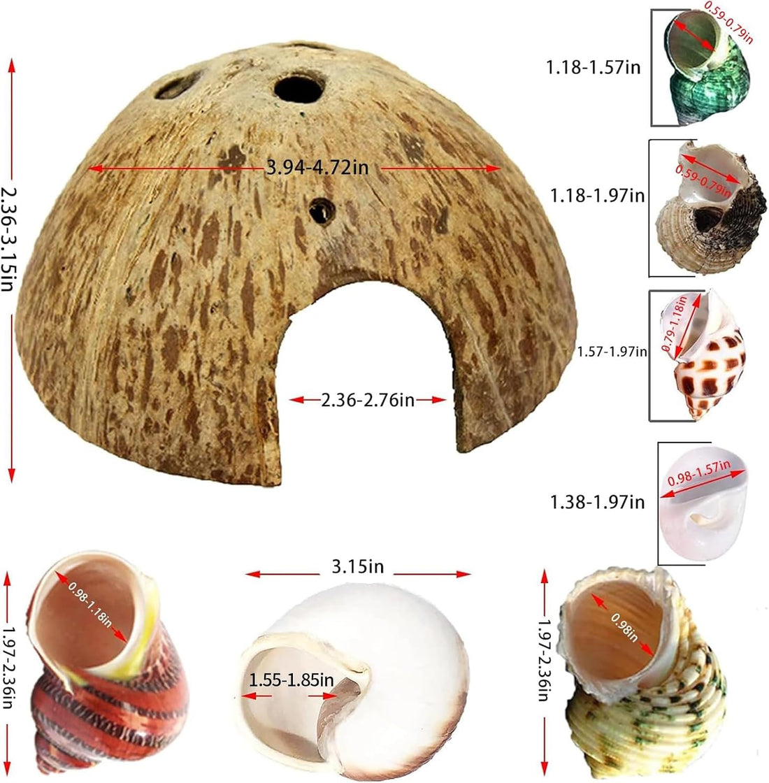 SINKOO 16PCS Hermit Crab Shells Growth, Hermit Crab Coconut Hut