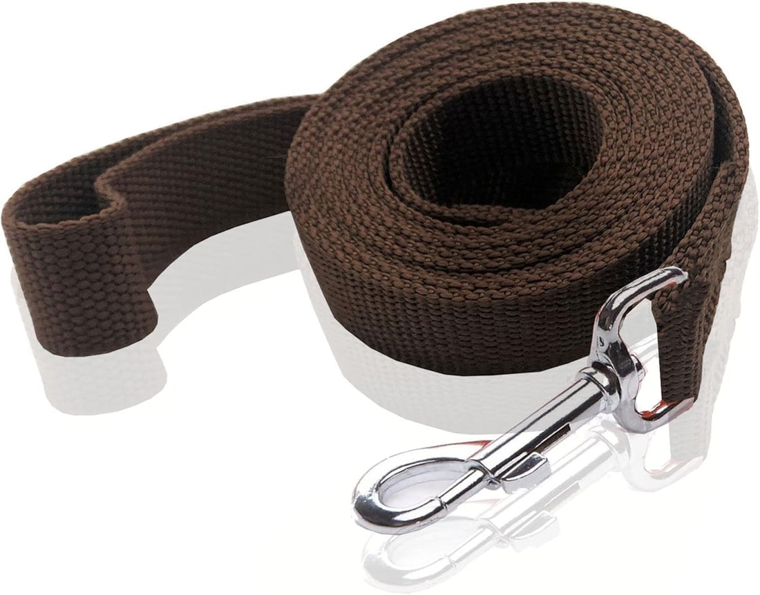Nylon Dog Leash 8 Feet Long, Walking Training Dog Leashes for Medium