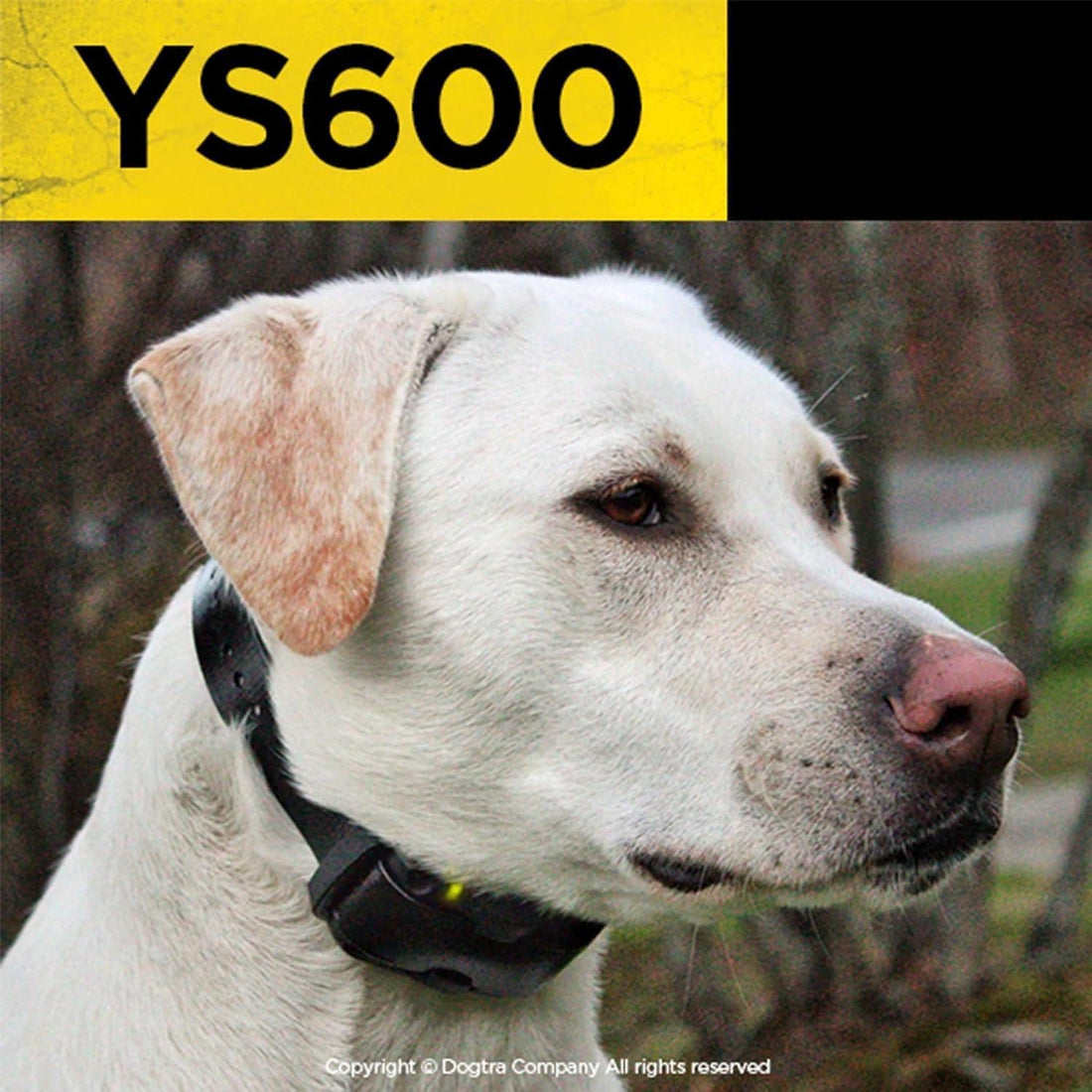 Dogtra YS600 No Bark Collar for Large Dogs 35 lbs and Up