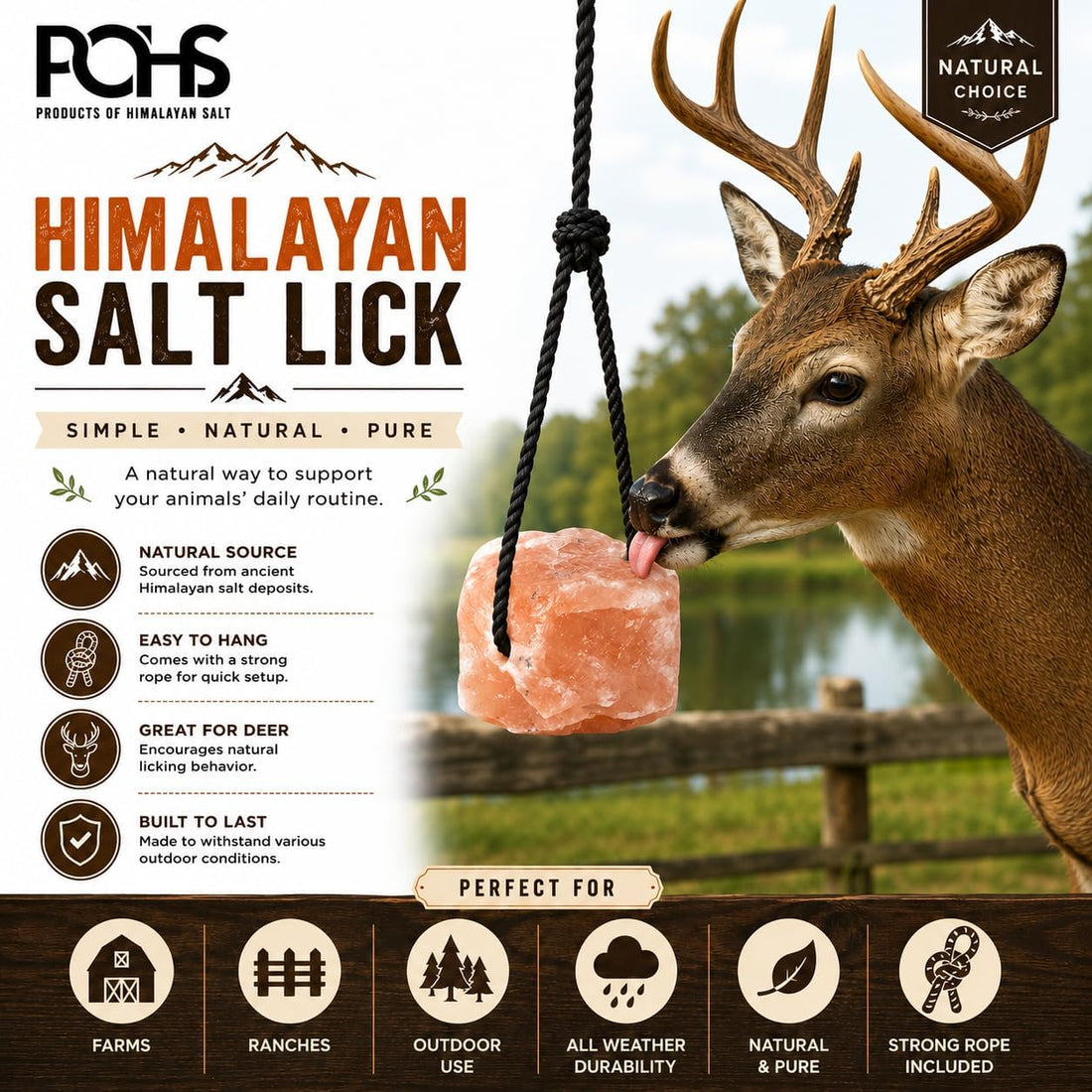 POHS Himalayan Salt Lick on Rope 3 lb Each for Horses & Livestock