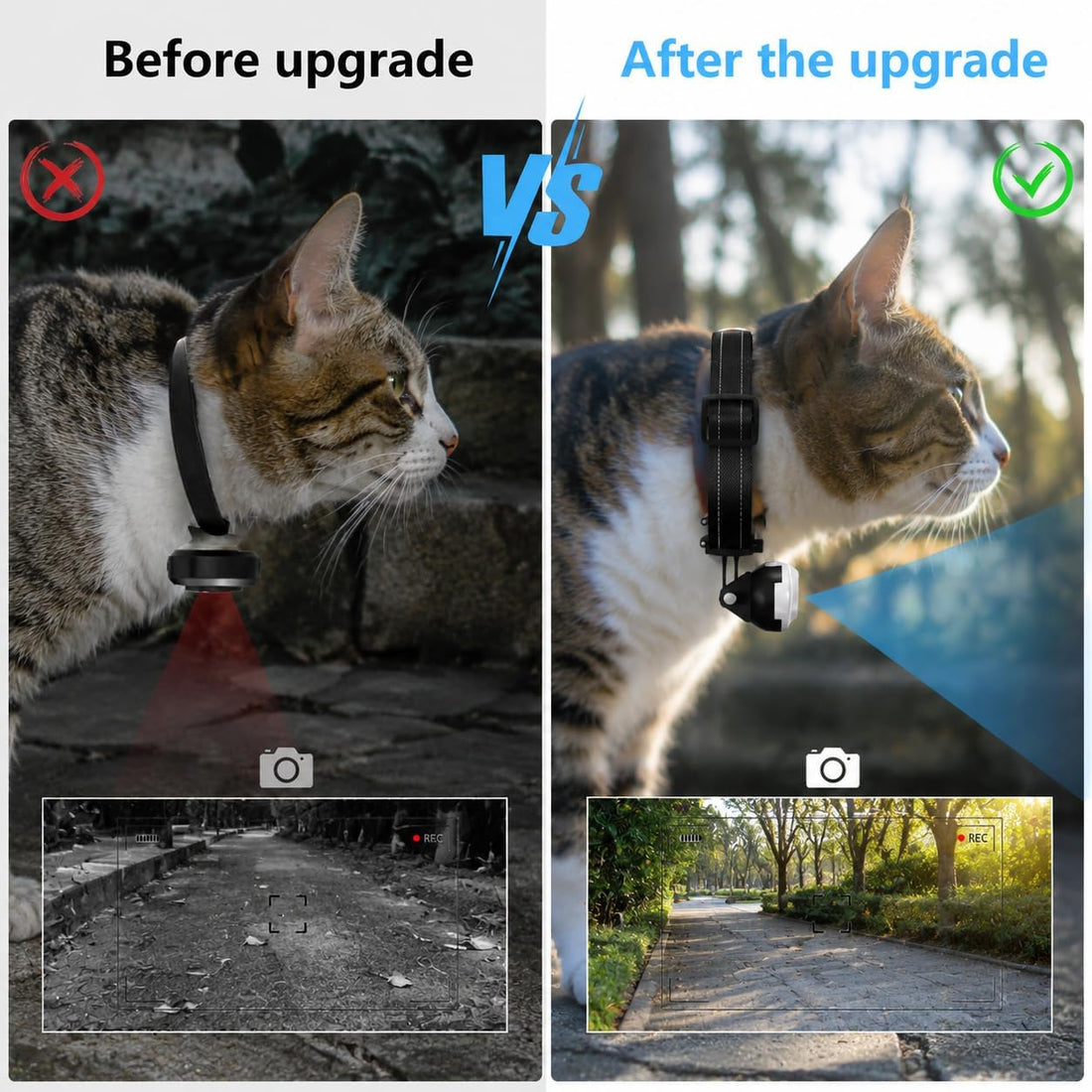 ehomful HD 1080P Cat POV Camera Collar with Video Record