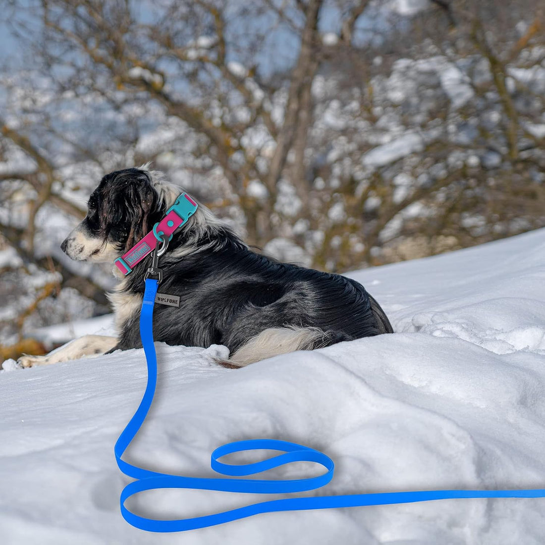 Wolfone Waterproof Dog Leash 20FT Long Line Recall Training Lead