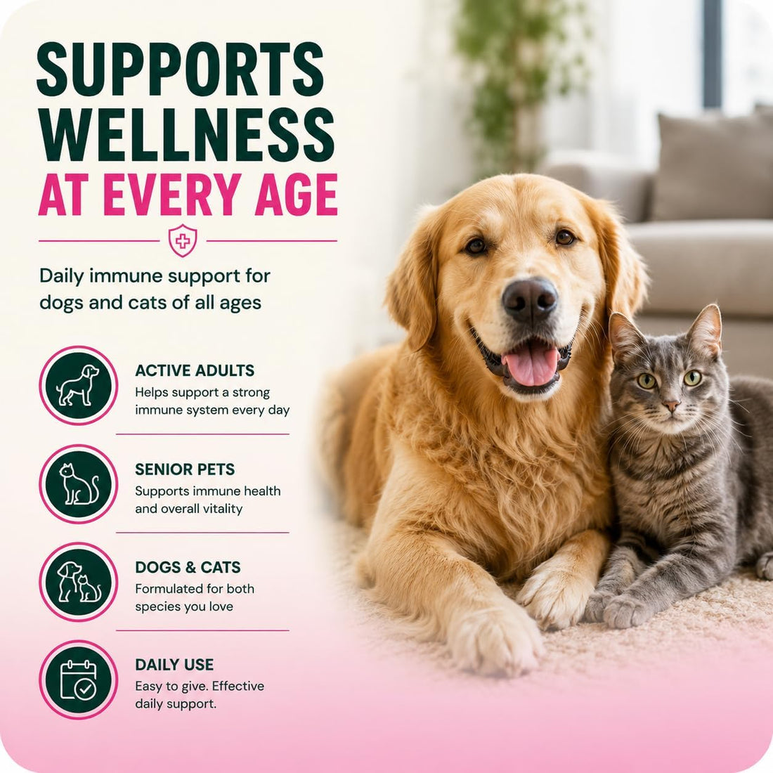 VetriScience DMG Immunity Health Easy-Dose Liquid for Dogs and Cats
