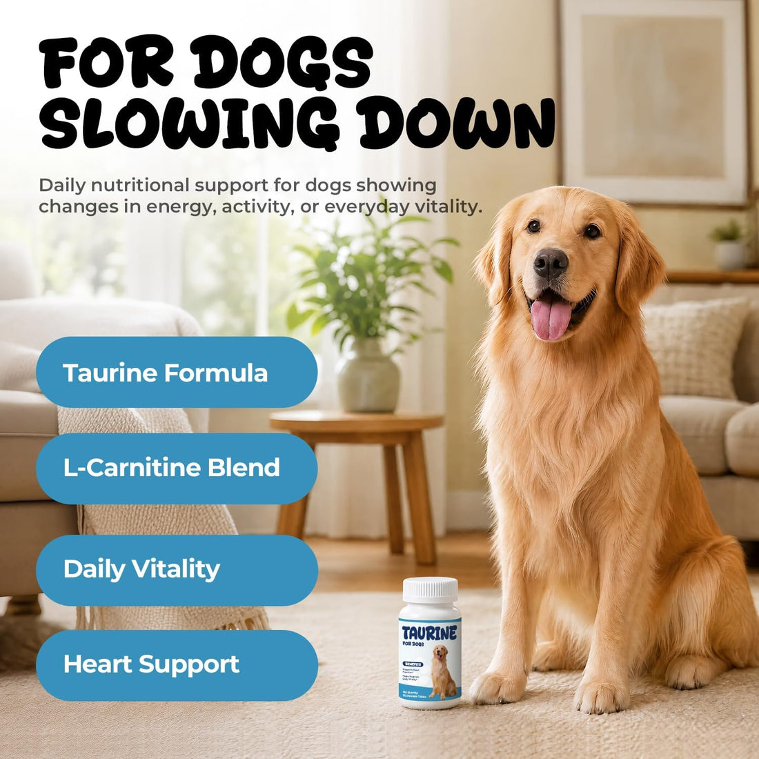 Taurine for Dogs, Heart Function & Energy Support, L-Carnitine Tablets