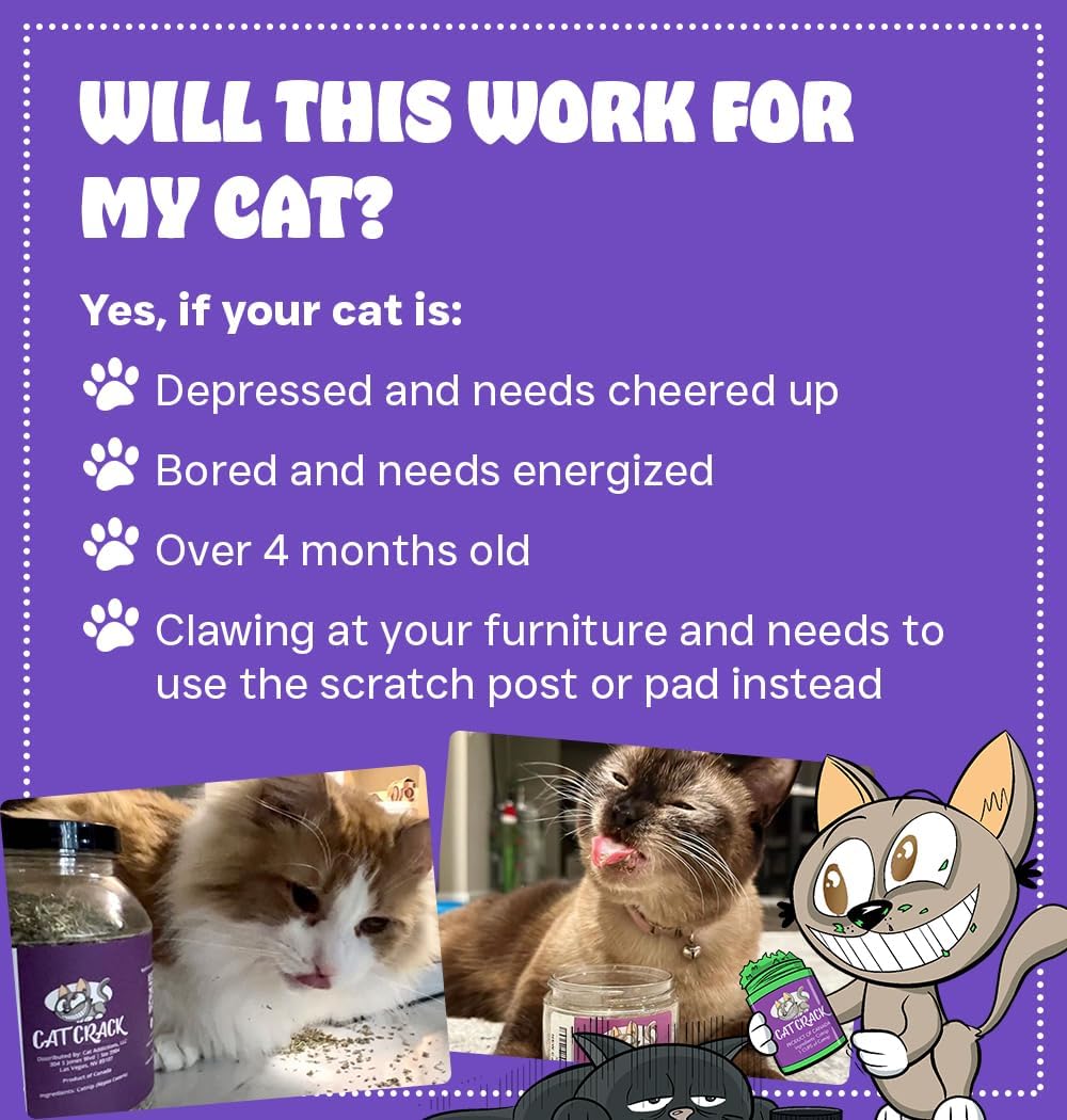 Cat Crack Catnip, Zoomie-Inducing Cat Nip Blend