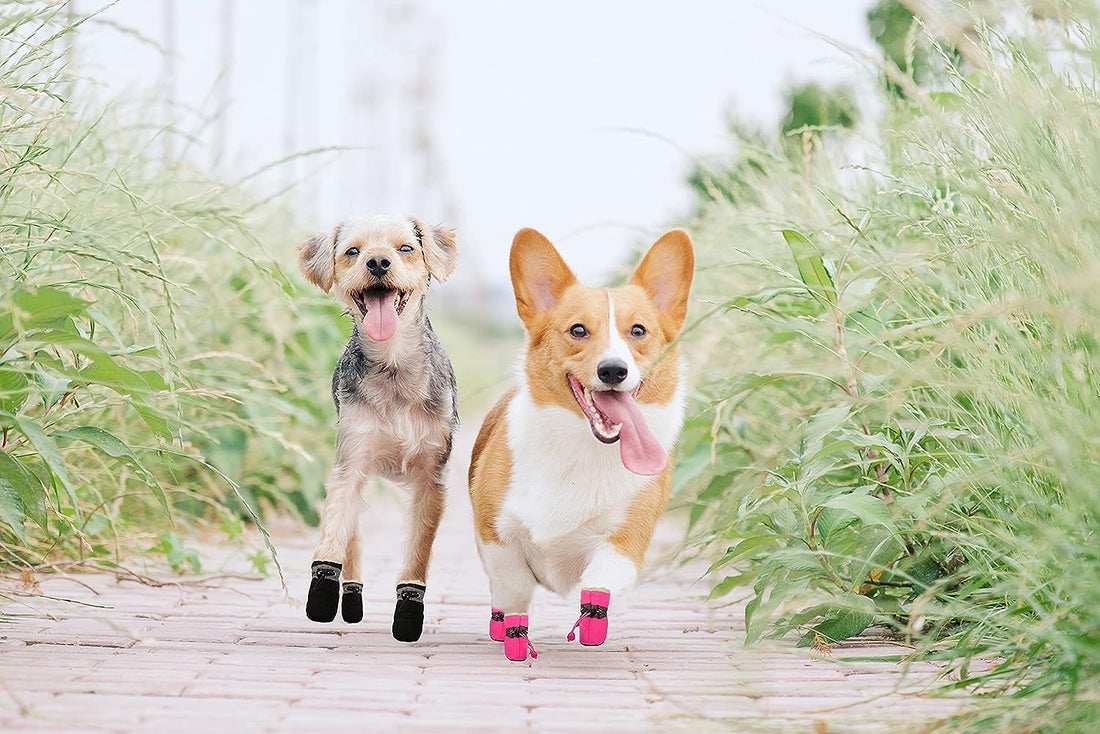 YAODHAOD Dog Shoes for Winter, Dog Snow Boots & Paw Protectors Black 3