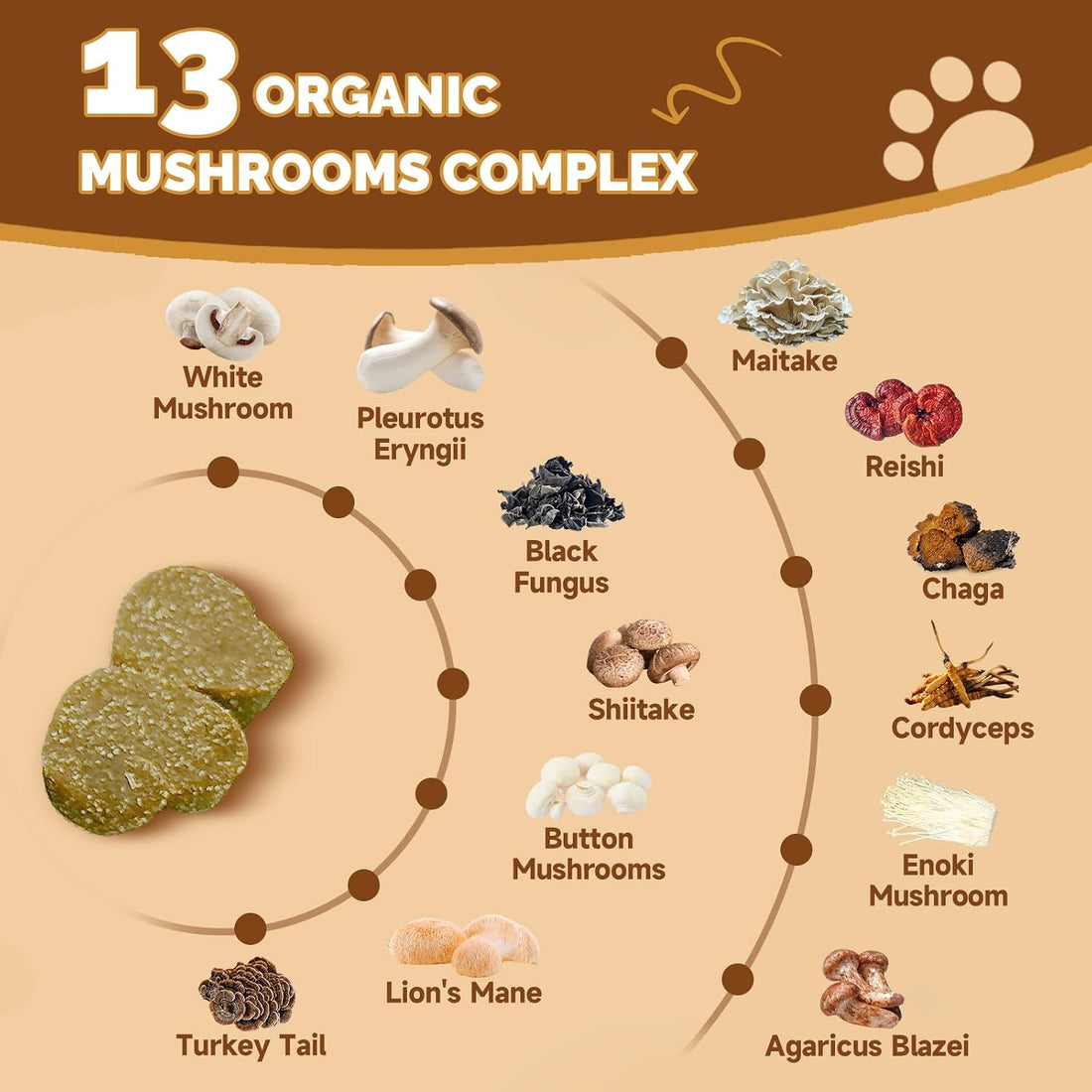 Mushrooms for Dogs - Turkey Tail Mushroom for Dogs - Gut, Skin, Joint