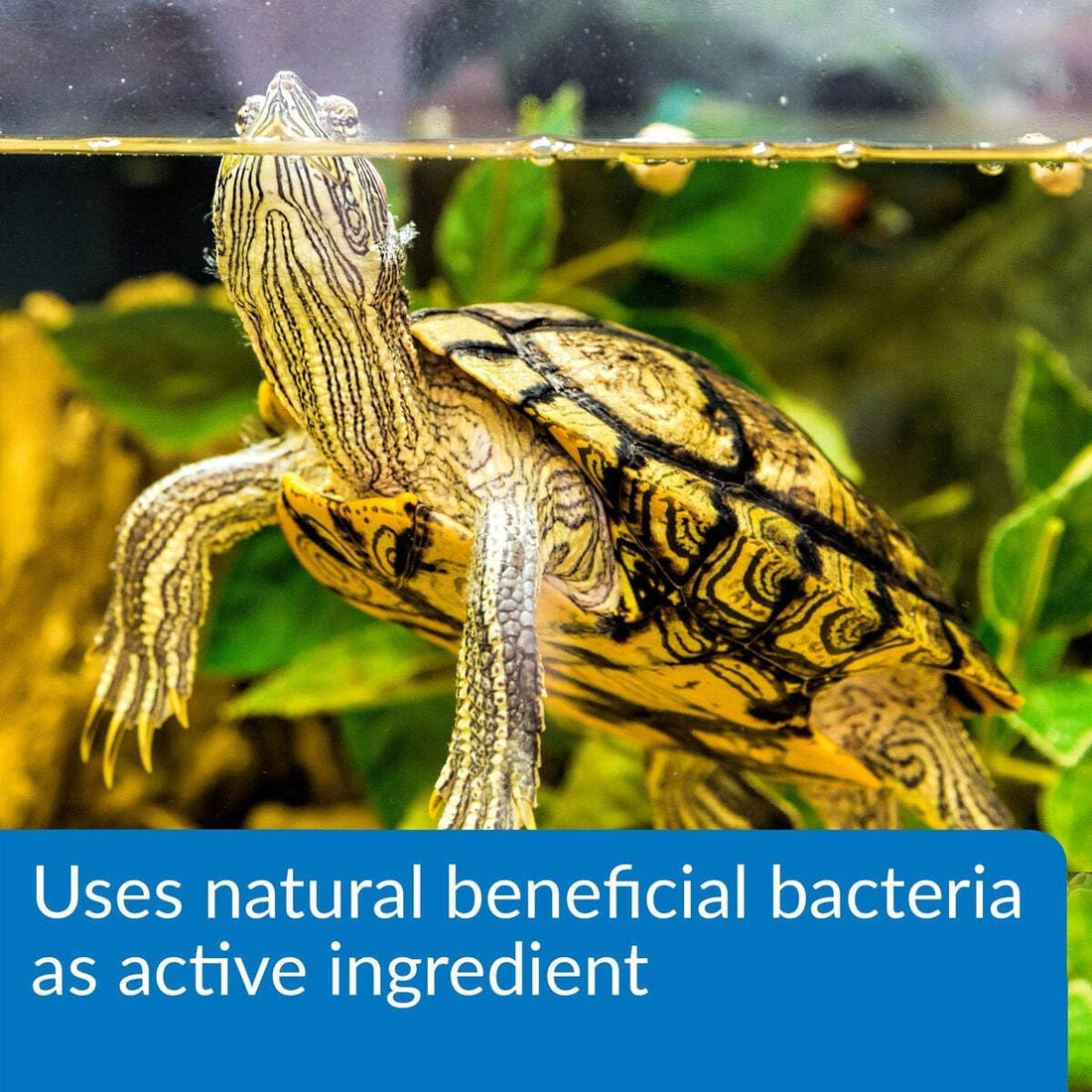 API TURTLE SLUDGE DESTROYER Aquarium Cleaner and Sludge Remover