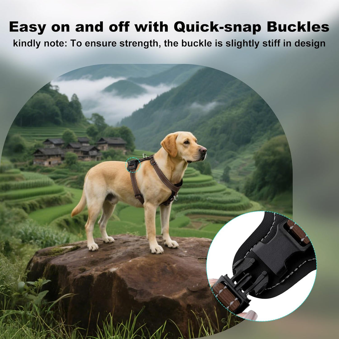 Plutus Pet No Pull Dog Harness with Leather Accents