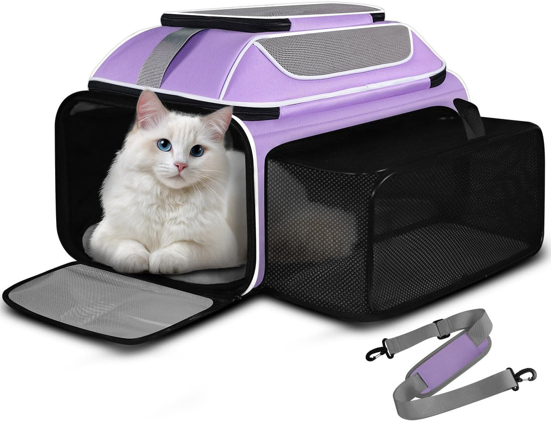 Petskd Top and Side Expandable Pet Carrier Airline Approved, Blue