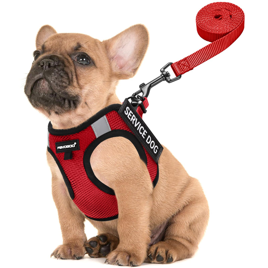 FAYOGOO Service Dog Vest for Small Dogs