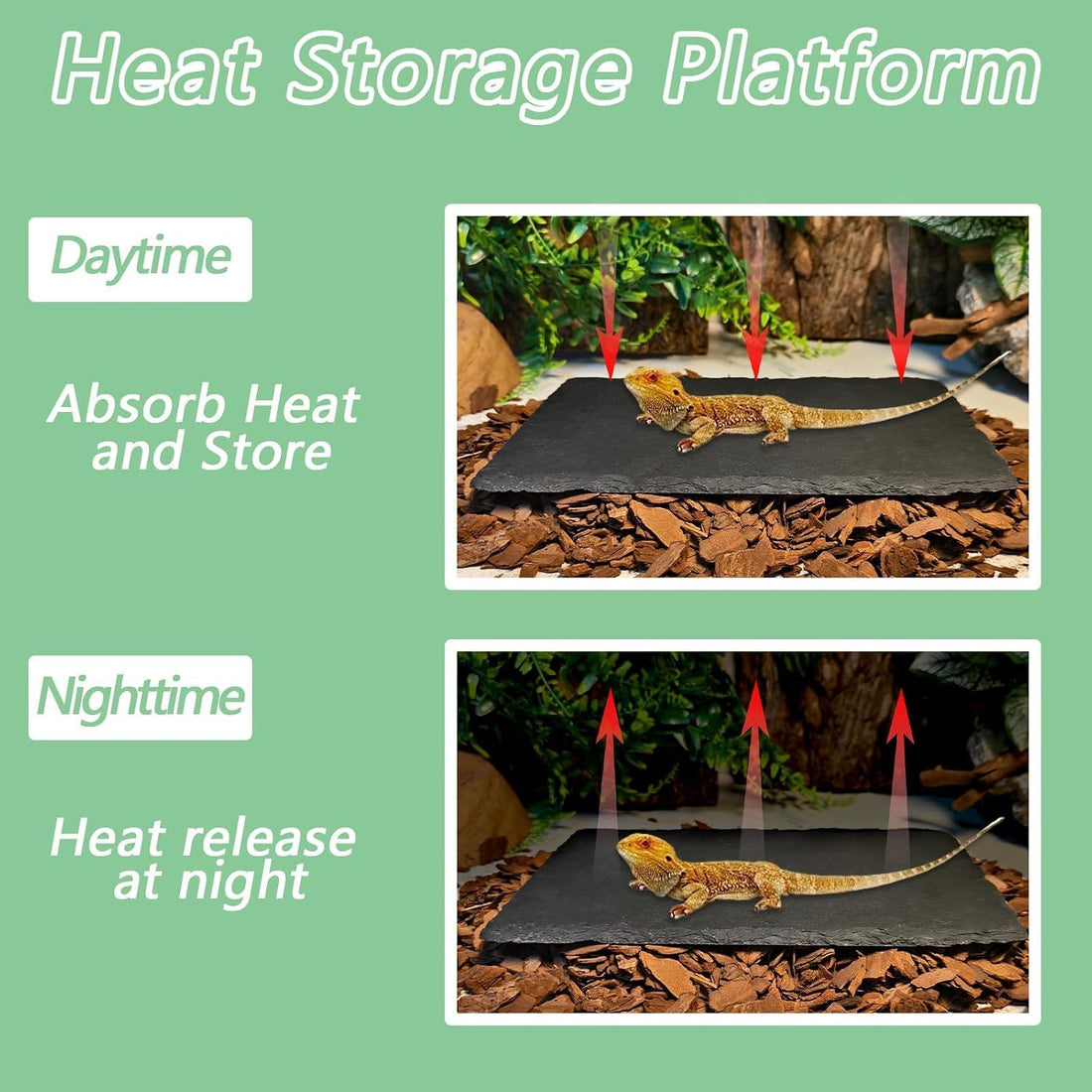 Bearded Dragon Basking Platform Rock Slate with Bark Substrate,M