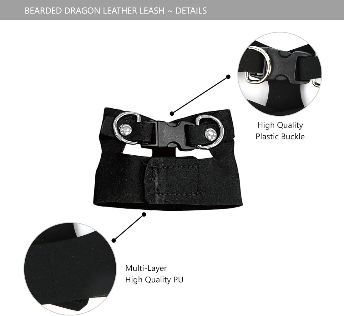Bearded Dragon Leash and Harness Set, Beardie Carrier
