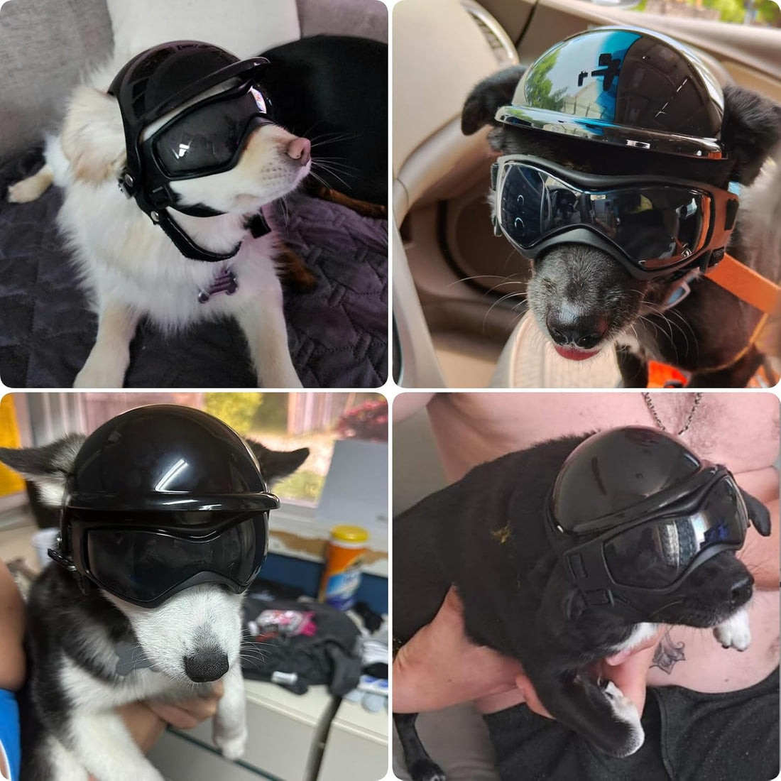 PETLESO Extra Small Dog Helmet and Dog Goggles Set