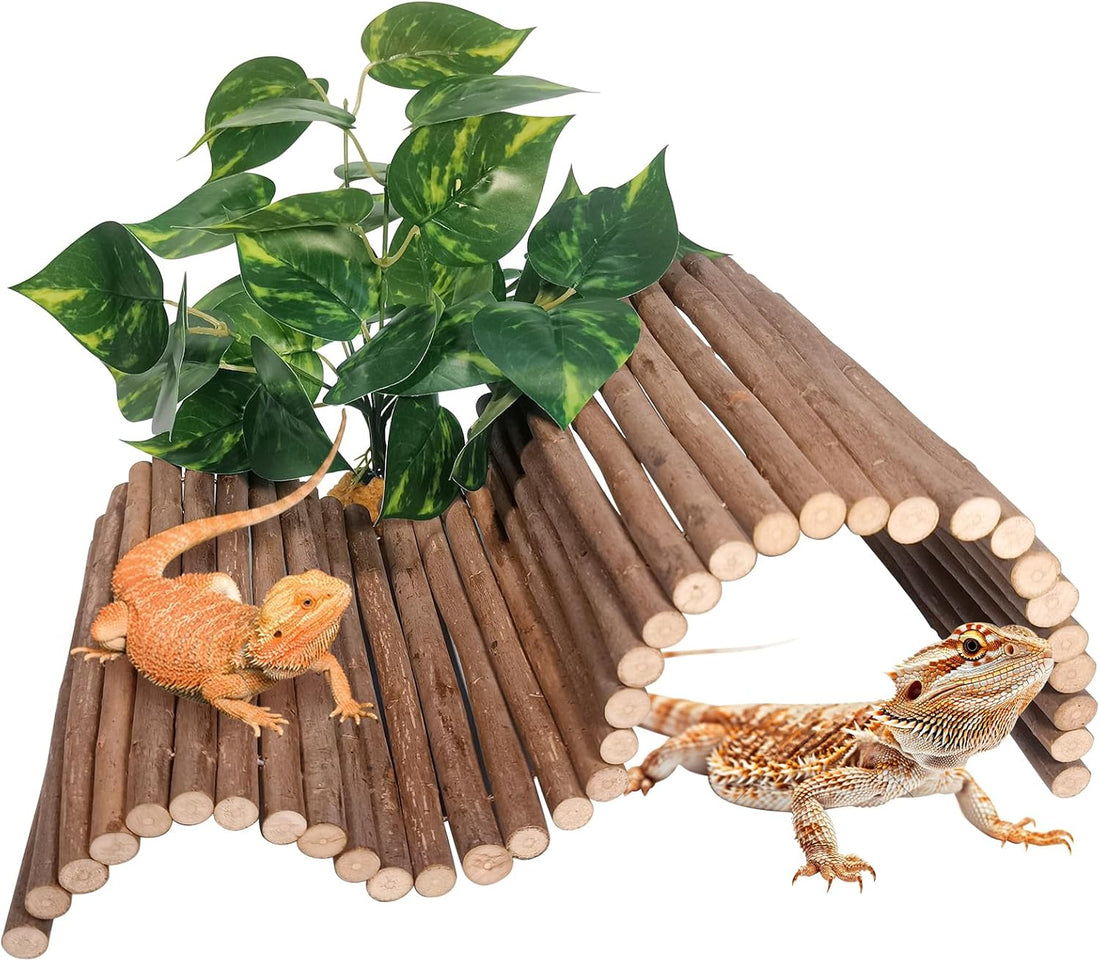 Reptile Hide Bearded Dragon Tank Accessories Large Climbing Wooden