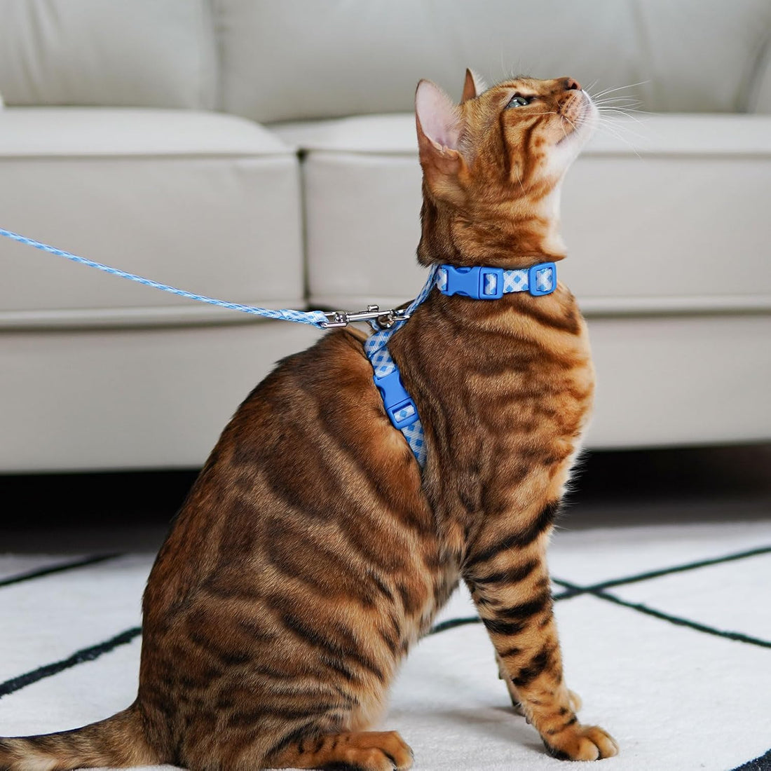 azuza Cat Harness and Leash Set, Escape Proof for Safe Walking