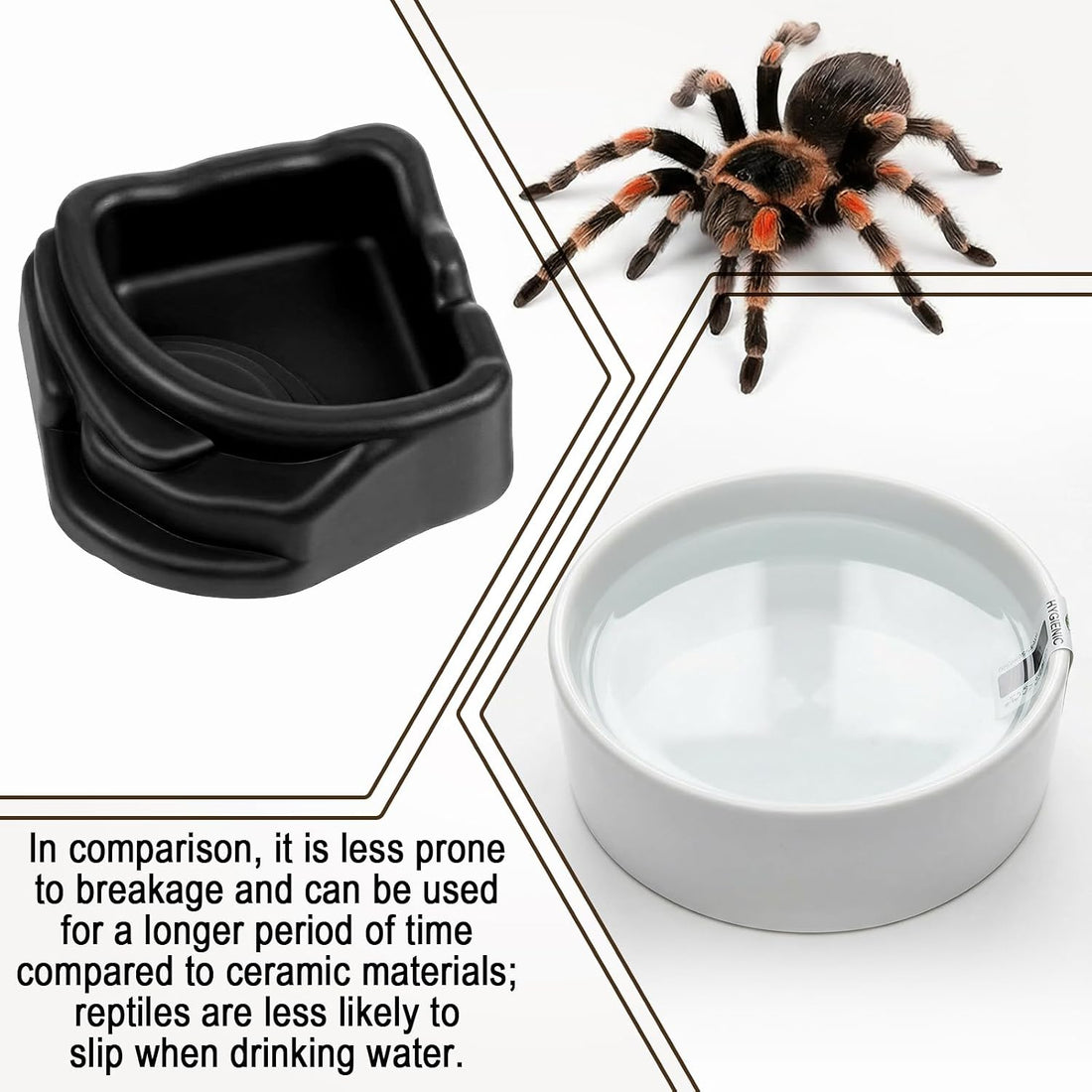 6 Pcs Spider Micro Water Bowls, Tarantula Enclosure Accessories
