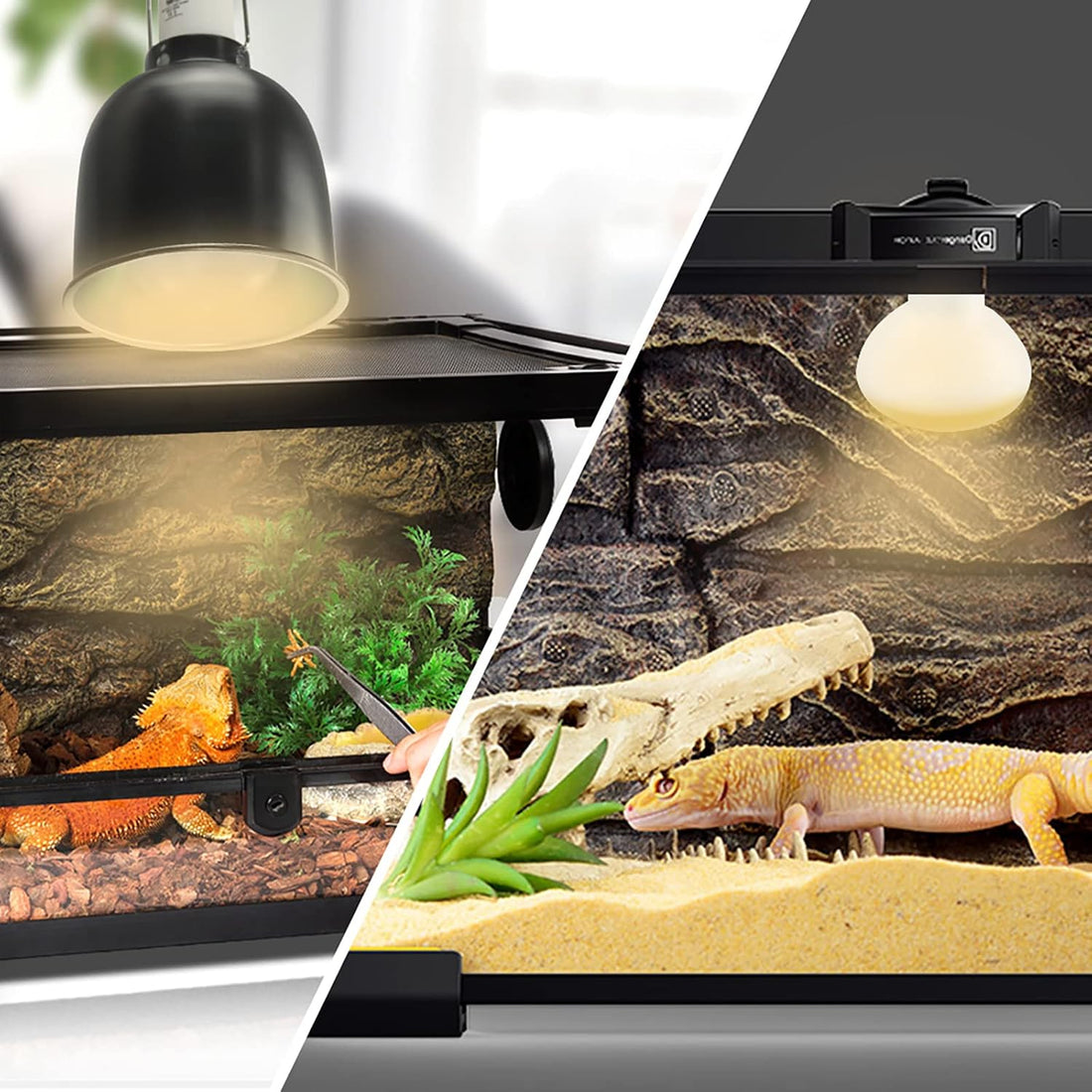 LUCKY HERP 4 Pack 100W Reptile Heat Lamp Bulb