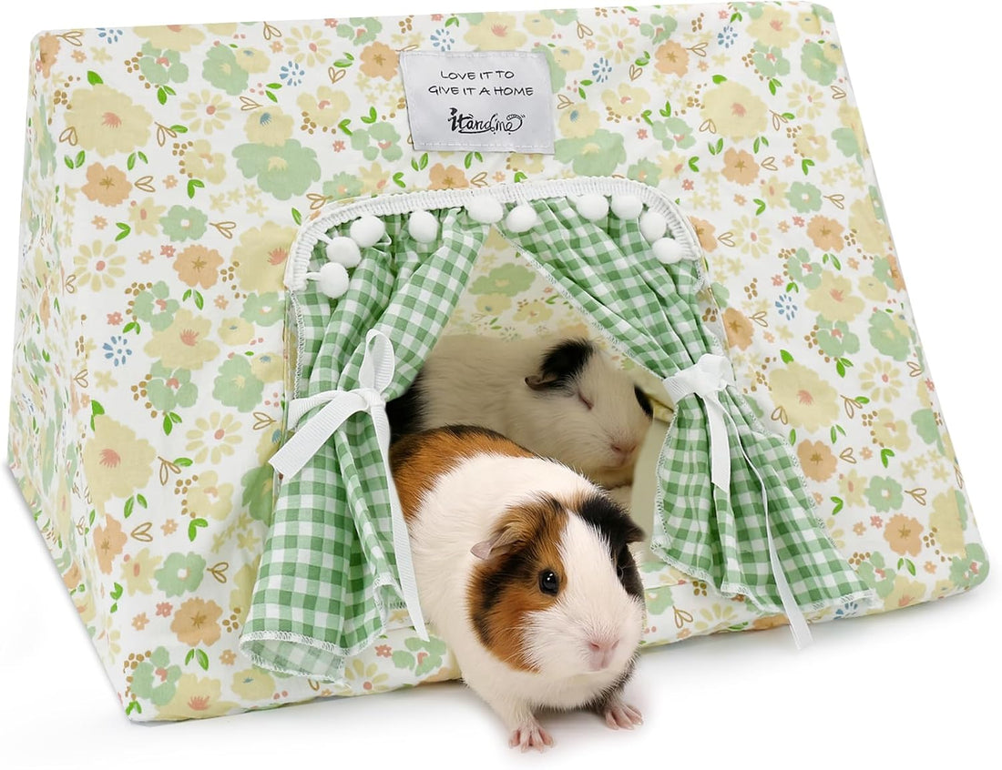Jenvd Guinea Pig Hideout Large with Curtain