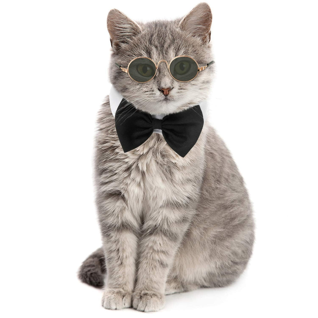2 Pieces Pets Dog Cat Bowtie Tie Sunglasses Pets Costume Adjustable