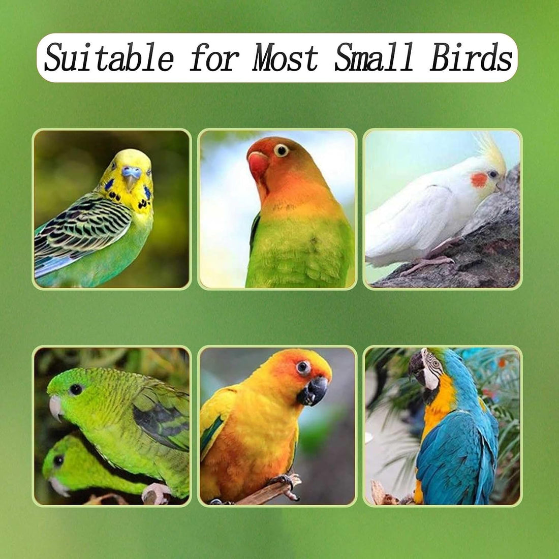 No Mess Bird Feeder for Cage