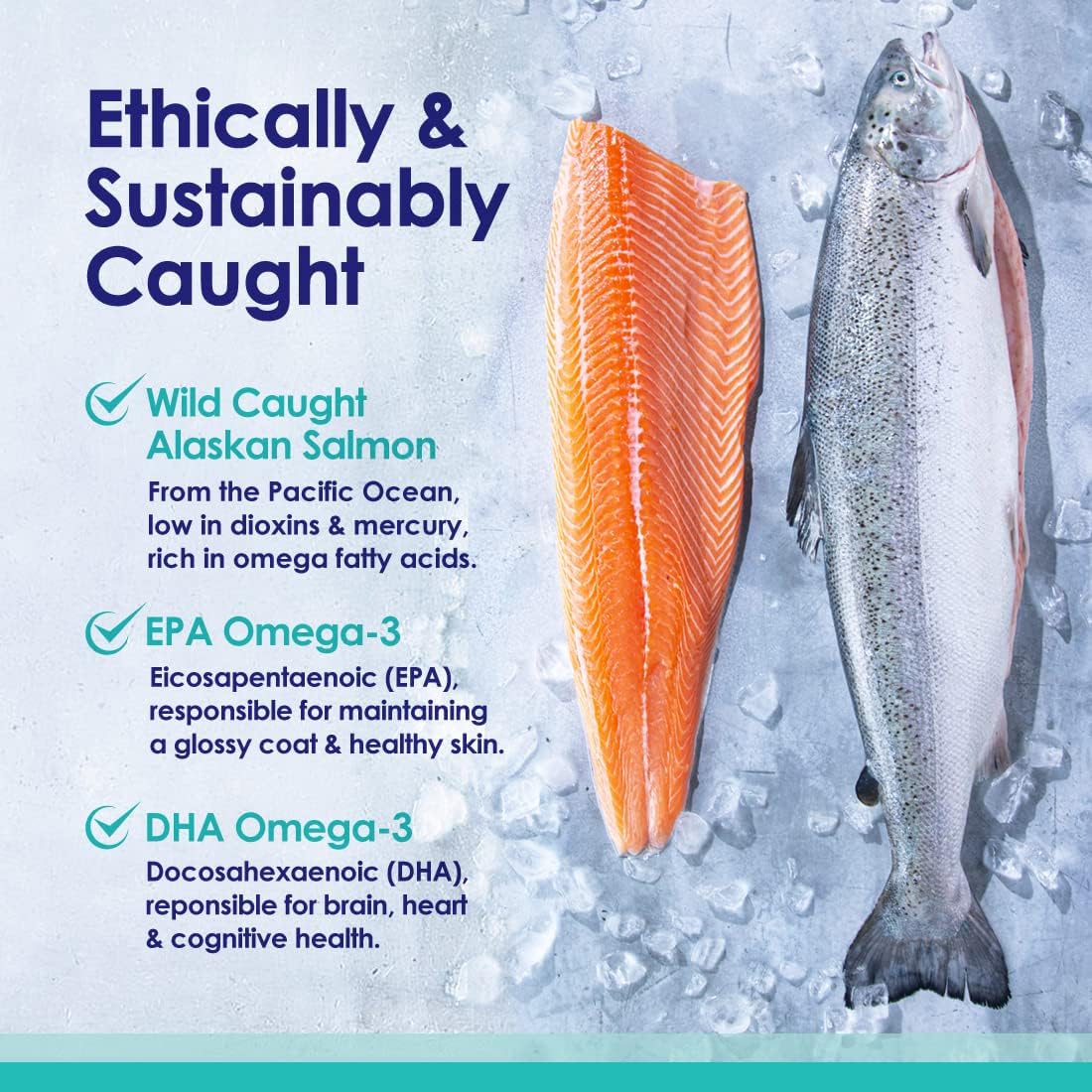 Pure Wild Alaskan Salmon Oil for Dogs