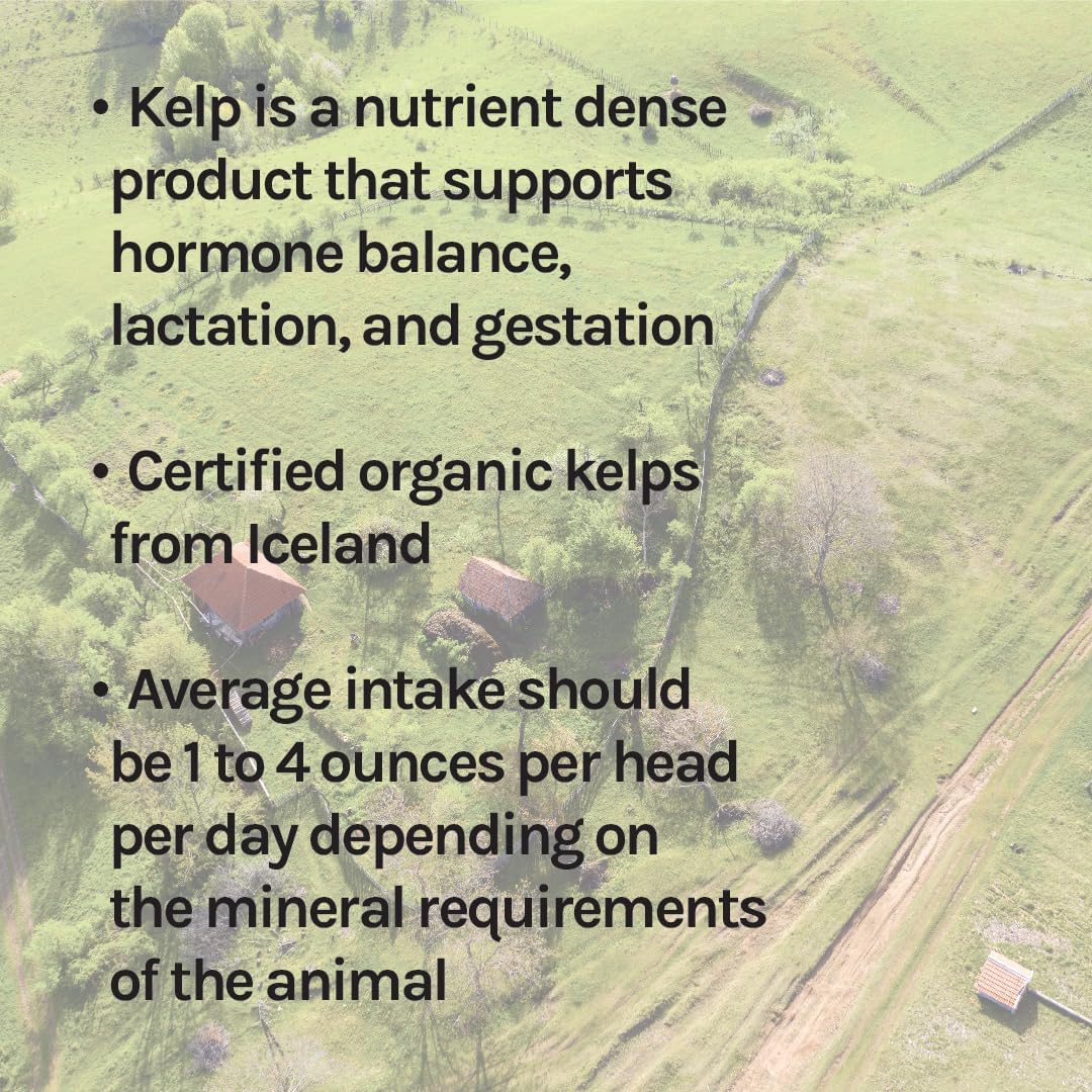 New Country Organics I Organic Kelp Supplement for Cattle
