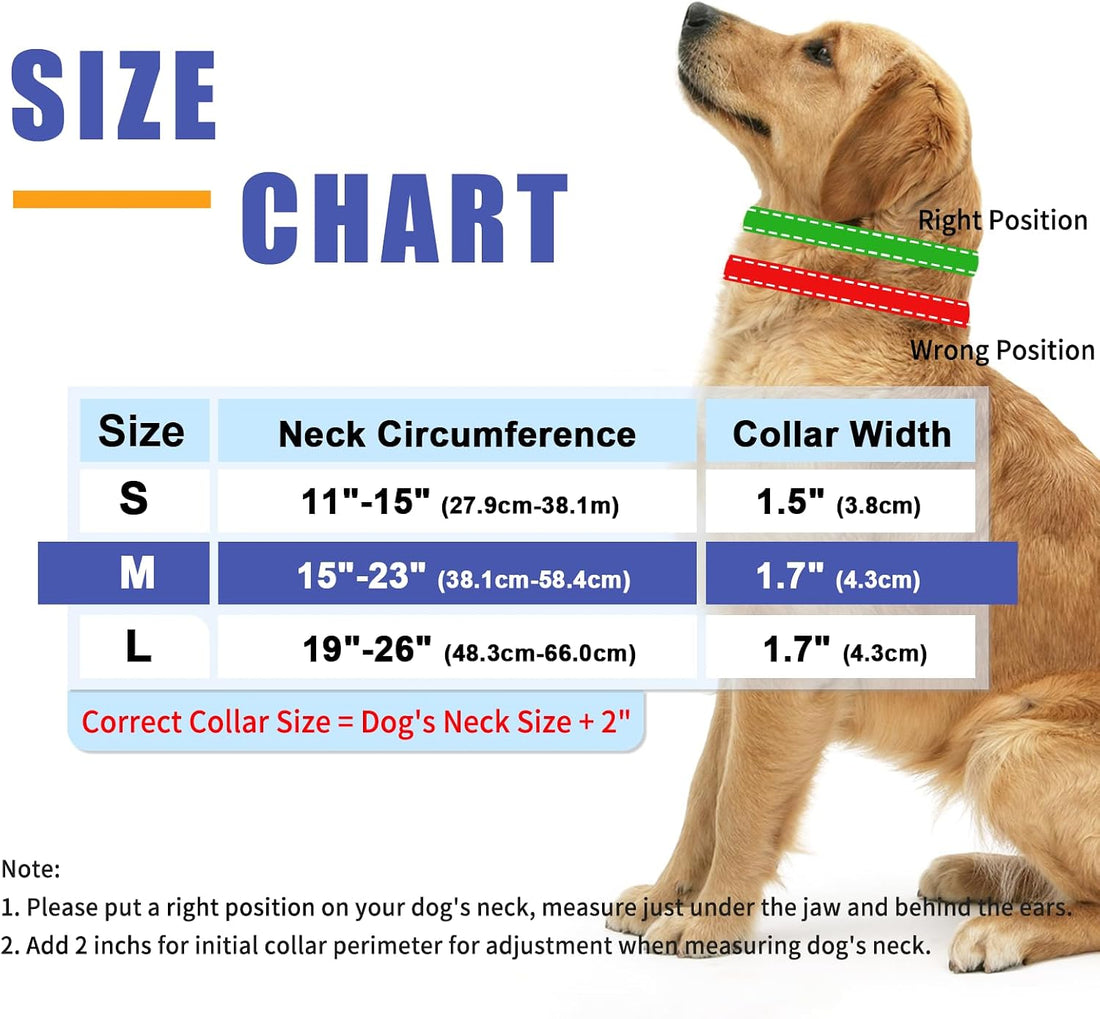 Martingale No Pull Training Collar for Large Medium Small Dogs