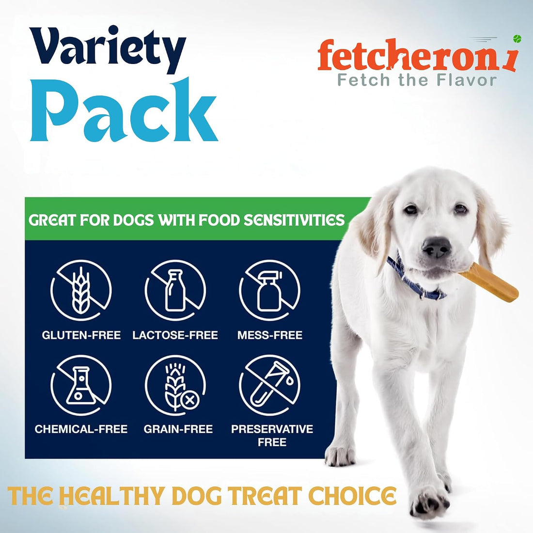 FETCHERONI Dog Treat Variety Box - Long Lasting Dog Chew Treats