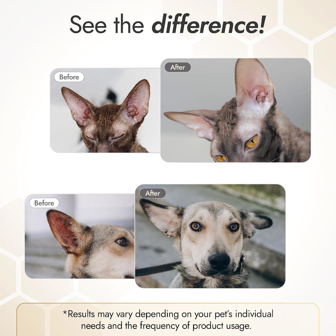 Cat Ear Cleaner with Silver + Manuka, Dog Ear Infection Treatment
