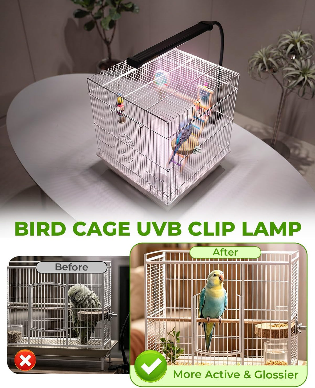 UVB Light for Birds, Full Spectrum LED Bird Cage Light for Parrot