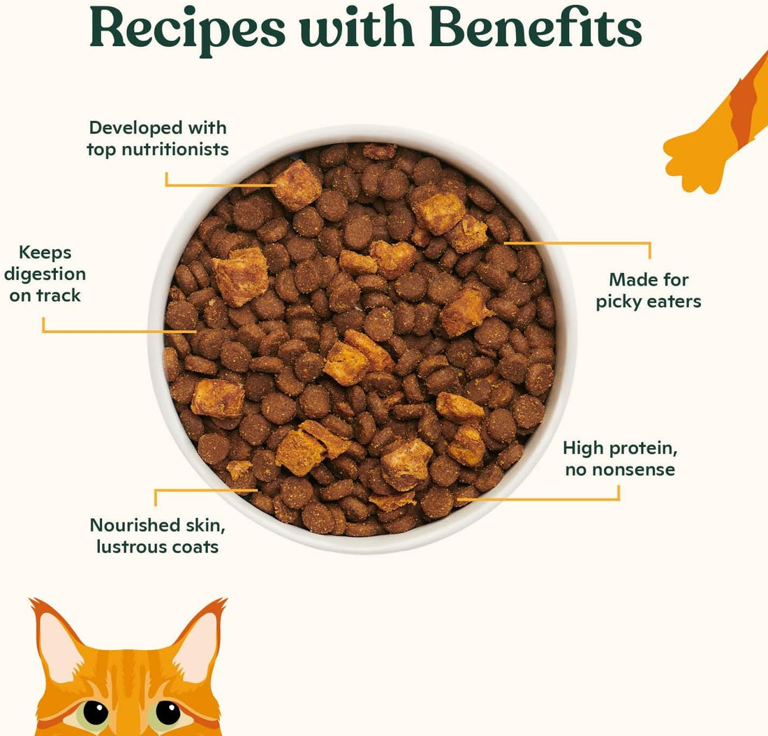 Made by Nacho Dry Cat Kibble 2lb Bag
