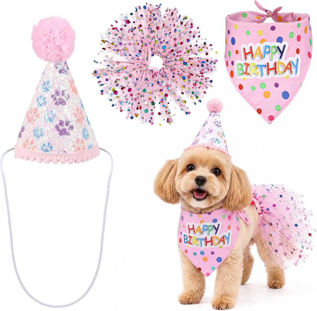 Dog Birthday Bandana with Hat and Dress Dog Birthday Outfit Girl