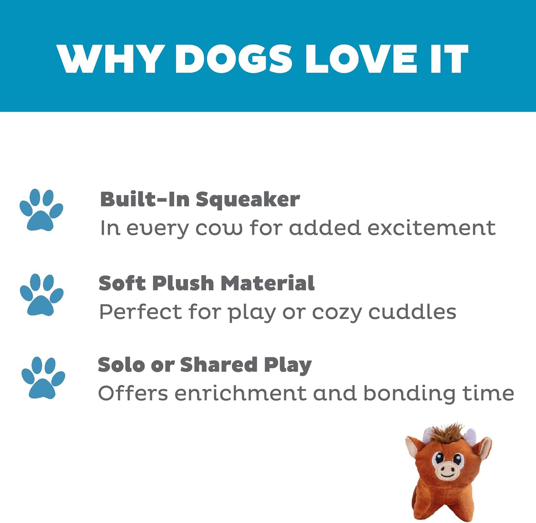 Outward Hound Squeakin' Squirrels Plush Squeaky Dog Toys, 3-Pack, 7"
